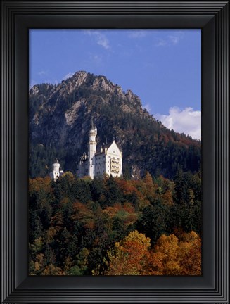Framed Bavarian Alps and Neuschwanstein Castle Print