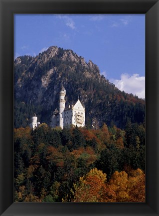 Framed Bavarian Alps and Neuschwanstein Castle Print