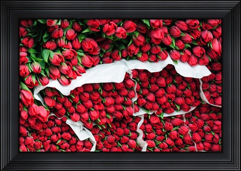 Framed Tulip Street Vendor, Denmark Print