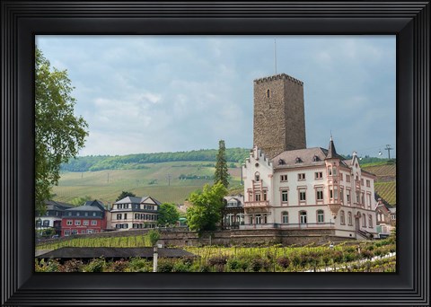 Framed Carl Jung Vineyard, Boosenburg Castle Print