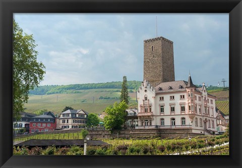 Framed Carl Jung Vineyard, Boosenburg Castle Print