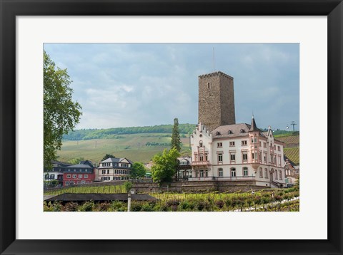 Framed Carl Jung Vineyard, Boosenburg Castle Print