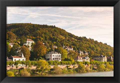 Framed Horses at Neckar River in Germany Print