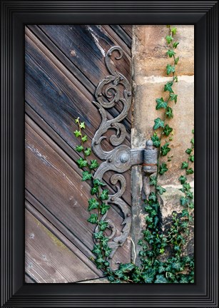 Framed Rose Garden in Bamberg, Germany Print