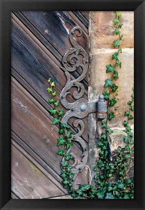 Framed Rose Garden in Bamberg, Germany Print