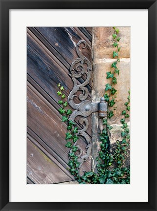 Framed Rose Garden in Bamberg, Germany Print