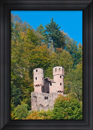 Framed Schwalbennest, Germany Print