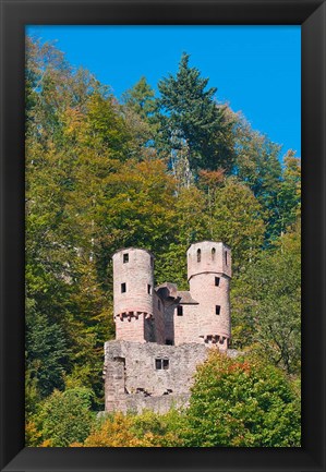 Framed Schwalbennest, Germany Print