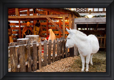 Framed Live Nativity Display Print