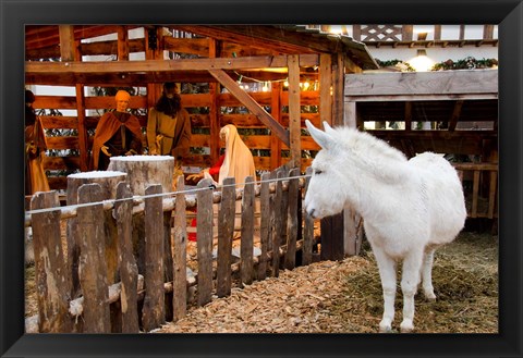 Framed Live Nativity Display Print