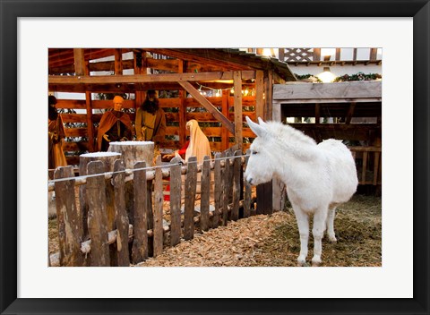 Framed Live Nativity Display Print