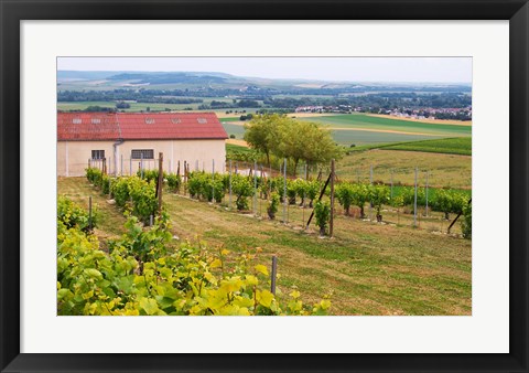 Framed View Over the Mother Vines, Champagne, France Print