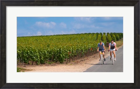 Framed Cyclists in Vineyards of Cote des Blancs Print