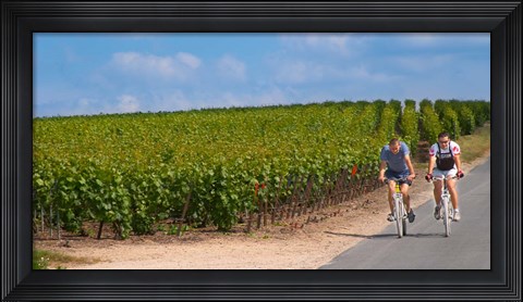 Framed Cyclists in Vineyards of Cote des Blancs Print