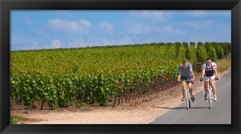 Framed Cyclists in Vineyards of Cote des Blancs Print