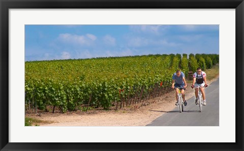 Framed Cyclists in Vineyards of Cote des Blancs Print