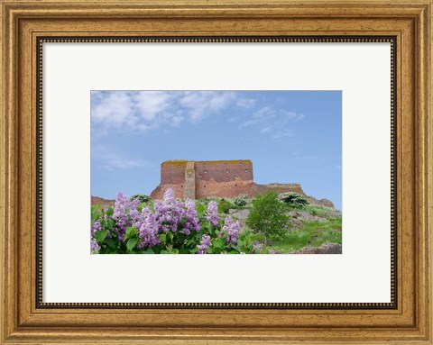 Framed Hammershus Castle Ruins Print