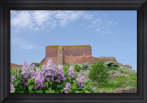 Framed Hammershus Castle Ruins Print