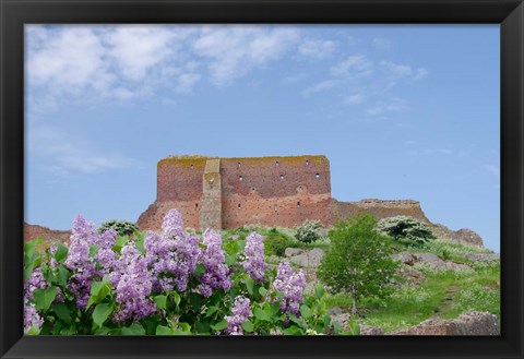 Framed Hammershus Castle Ruins Print