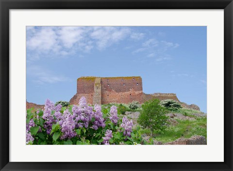 Framed Hammershus Castle Ruins Print