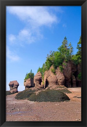 Framed Bay of Fundy Hopewell Rocks Print