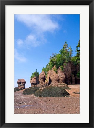 Framed Bay of Fundy Hopewell Rocks Print