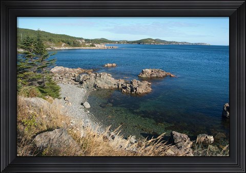 Framed Twillingate Coastline Print
