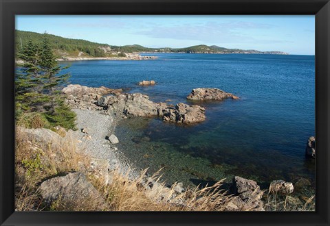 Framed Twillingate Coastline Print