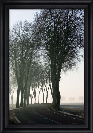 Framed Country Road in Morning Mist Print