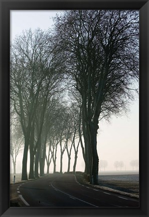 Framed Country Road in Morning Mist Print