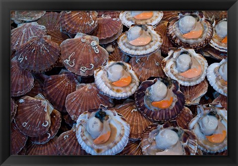 Framed Trouville Fish Market, Calvados, France Print