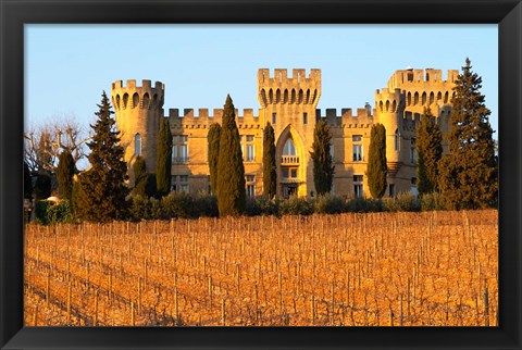 Framed Vineyard with Syrah Vines and Chateau des Fines Roches Print