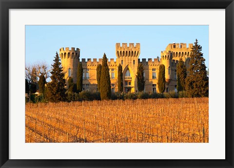 Framed Vineyard with Syrah Vines and Chateau des Fines Roches Print