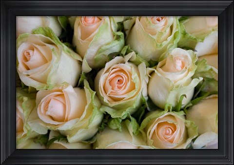 Framed Marche Aux Fleurs, Cours Saleya, French Riviera, France Print