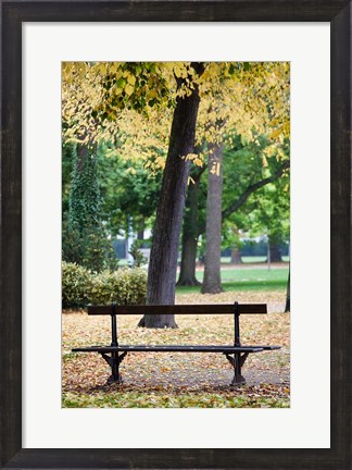 Framed Parc de la Pepiniere, France Print