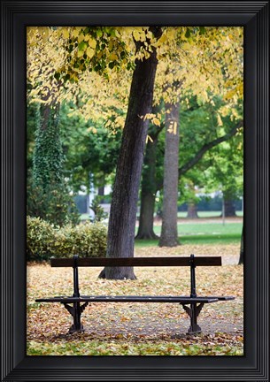 Framed Parc de la Pepiniere, France Print