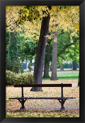 Framed Parc de la Pepiniere, France Print