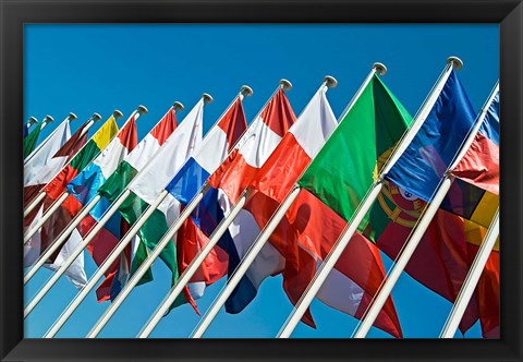 Framed International Flags Print