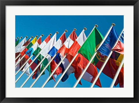 Framed International Flags Print