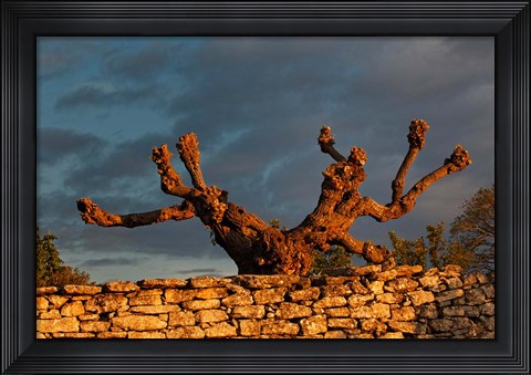 Framed Sunrise in Gordes, France Print