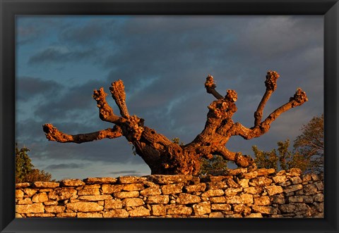 Framed Sunrise in Gordes, France Print