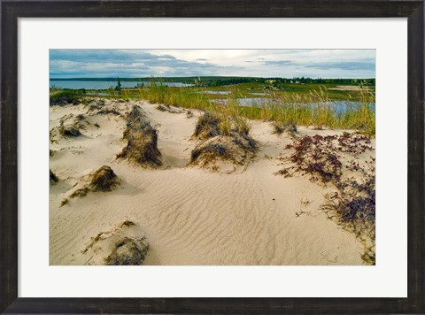Framed Sandy Beach Print