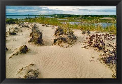 Framed Sandy Beach Print