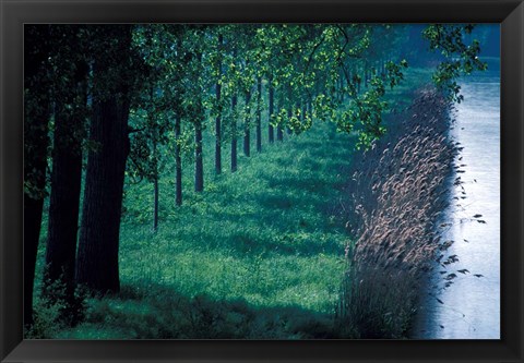 Framed Burgundy Canal, Burgundy, France Print