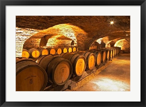 Framed Oak Barrels in Cellar at Domaine Comte Senard Print