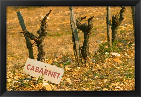 Framed La Truffe de Ventoux, Provence, France Print