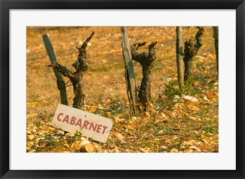 Framed La Truffe de Ventoux, Provence, France Print