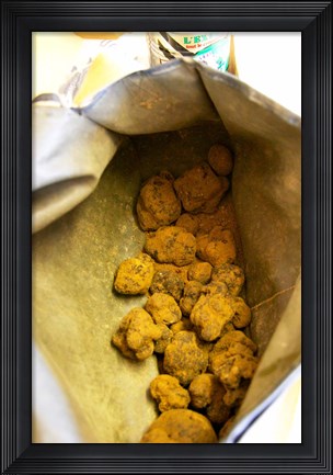 Framed Truffle Harvest at La Truffe de Ventoux Truffle Farm Print