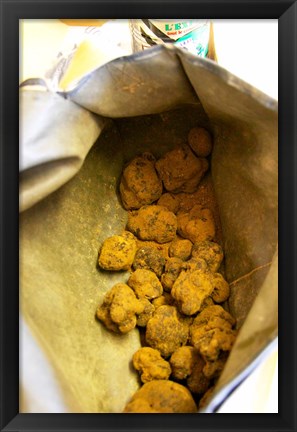 Framed Truffle Harvest at La Truffe de Ventoux Truffle Farm Print