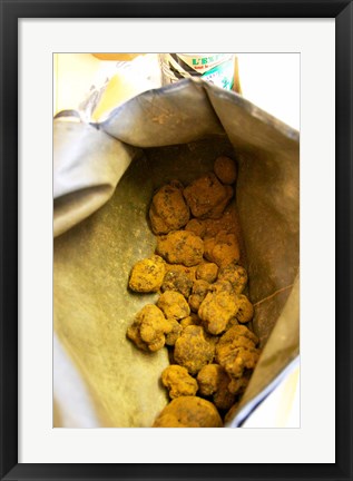 Framed Truffle Harvest at La Truffe de Ventoux Truffle Farm Print